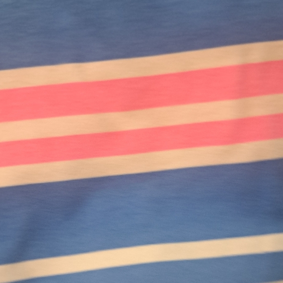 Lilly Pulitzer Striped Blue and Pink  Dress - Picture 4 of 5